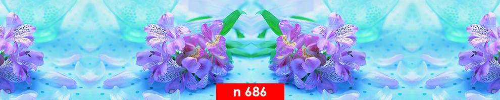 n 686